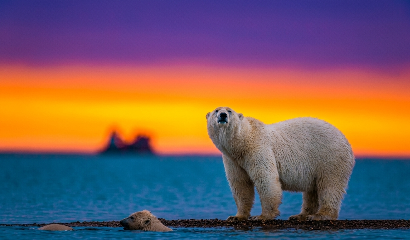 Svalbard Wildlife & Fjords Package