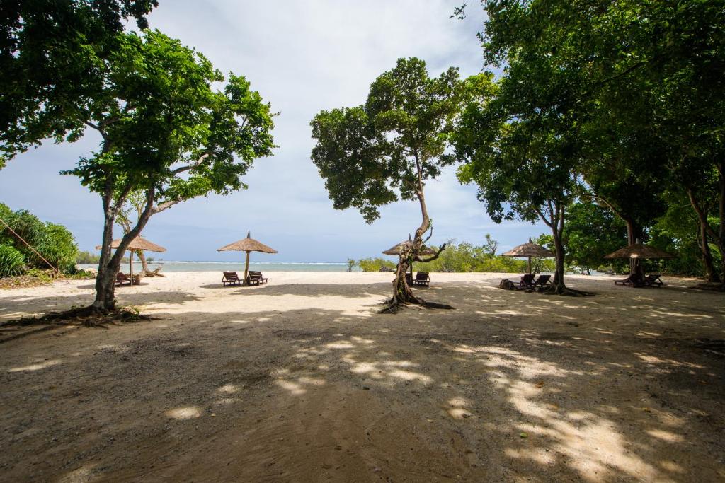 Andaman Island Tour Package - Beaches & Sightseeing