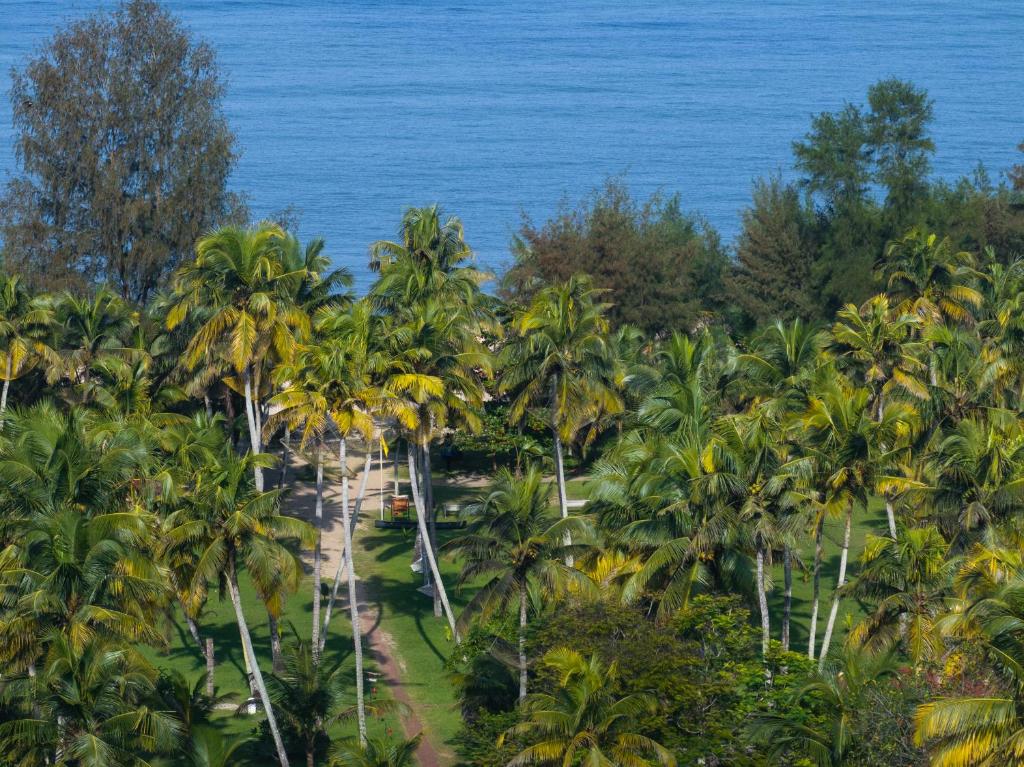 Backwaters to Beaches - Full Kerala Trail 