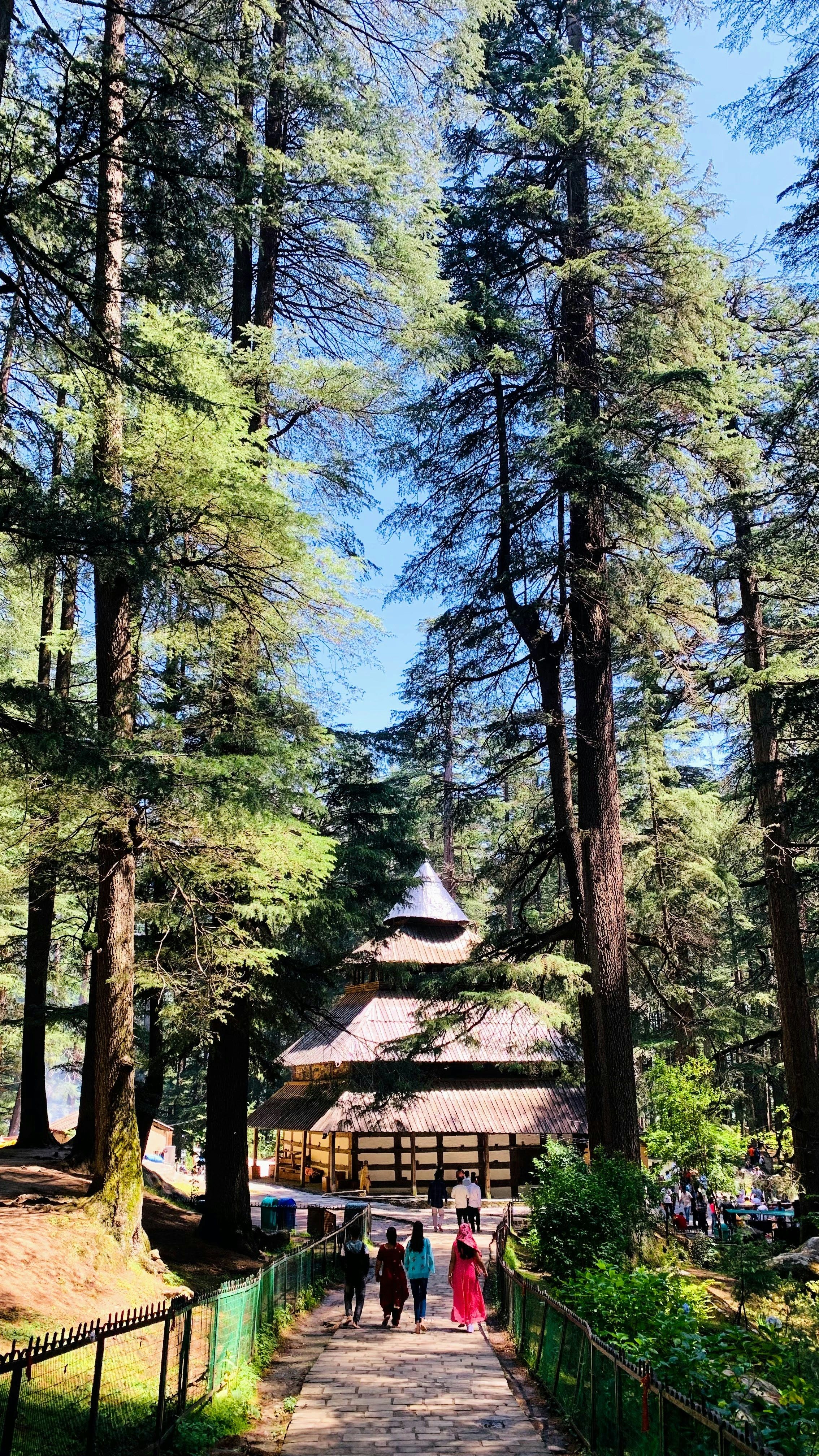 Visit Hadimba Devi Temple