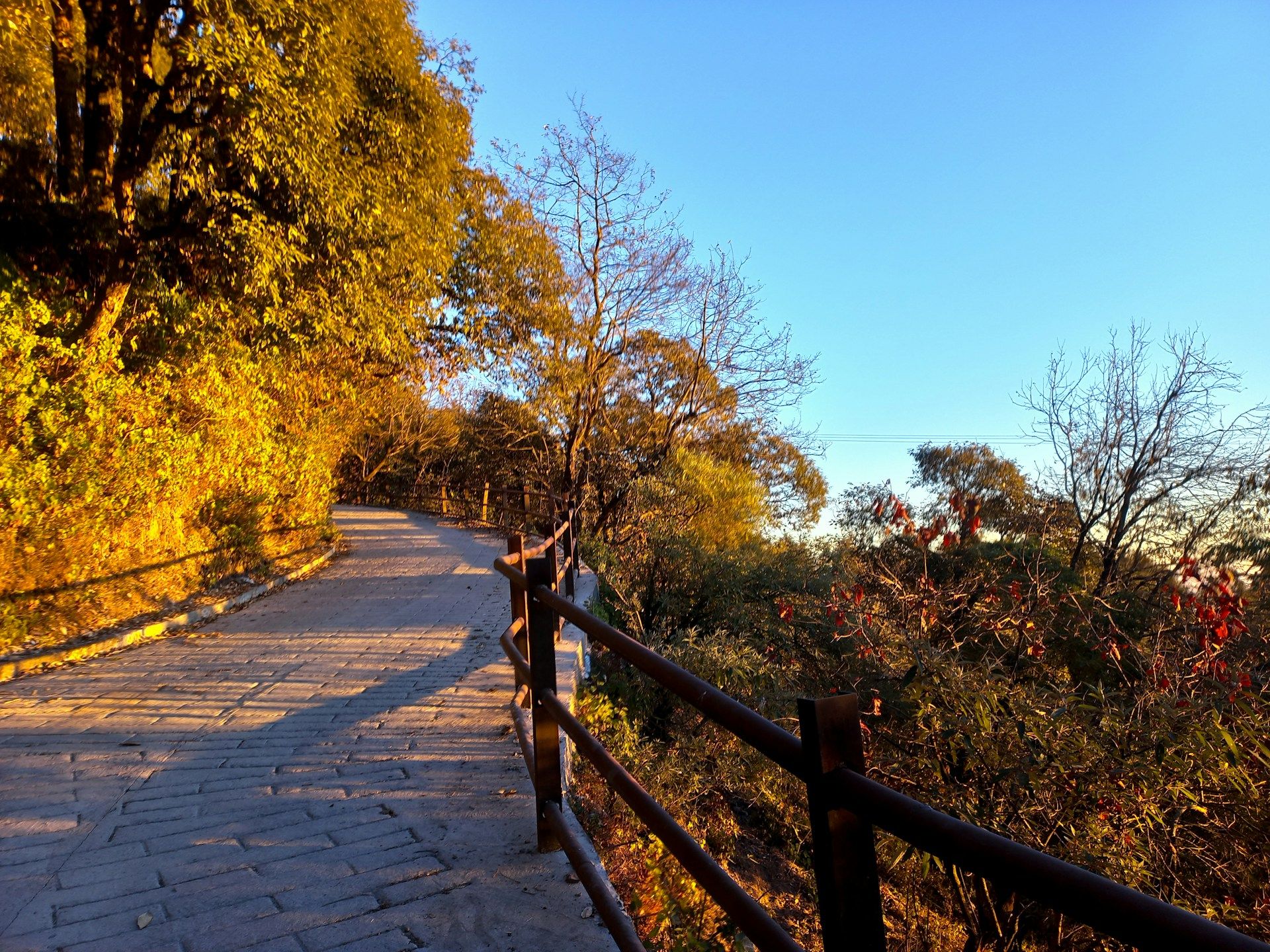 Heritage Walks