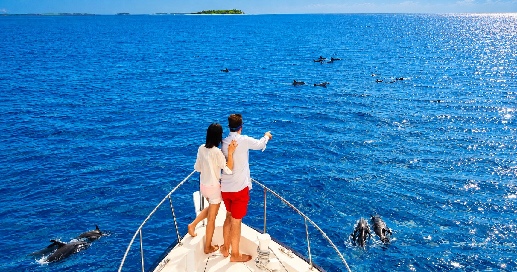 Maldives Diving & Marine Life Package