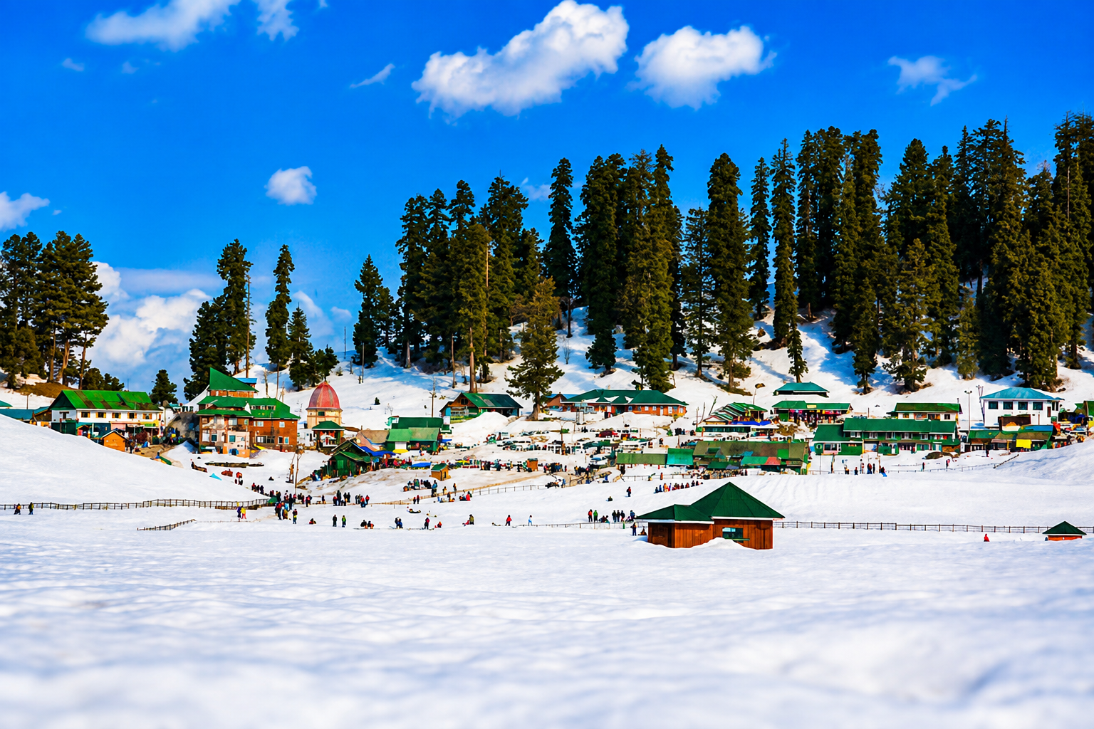Gulmarg Snow Escape