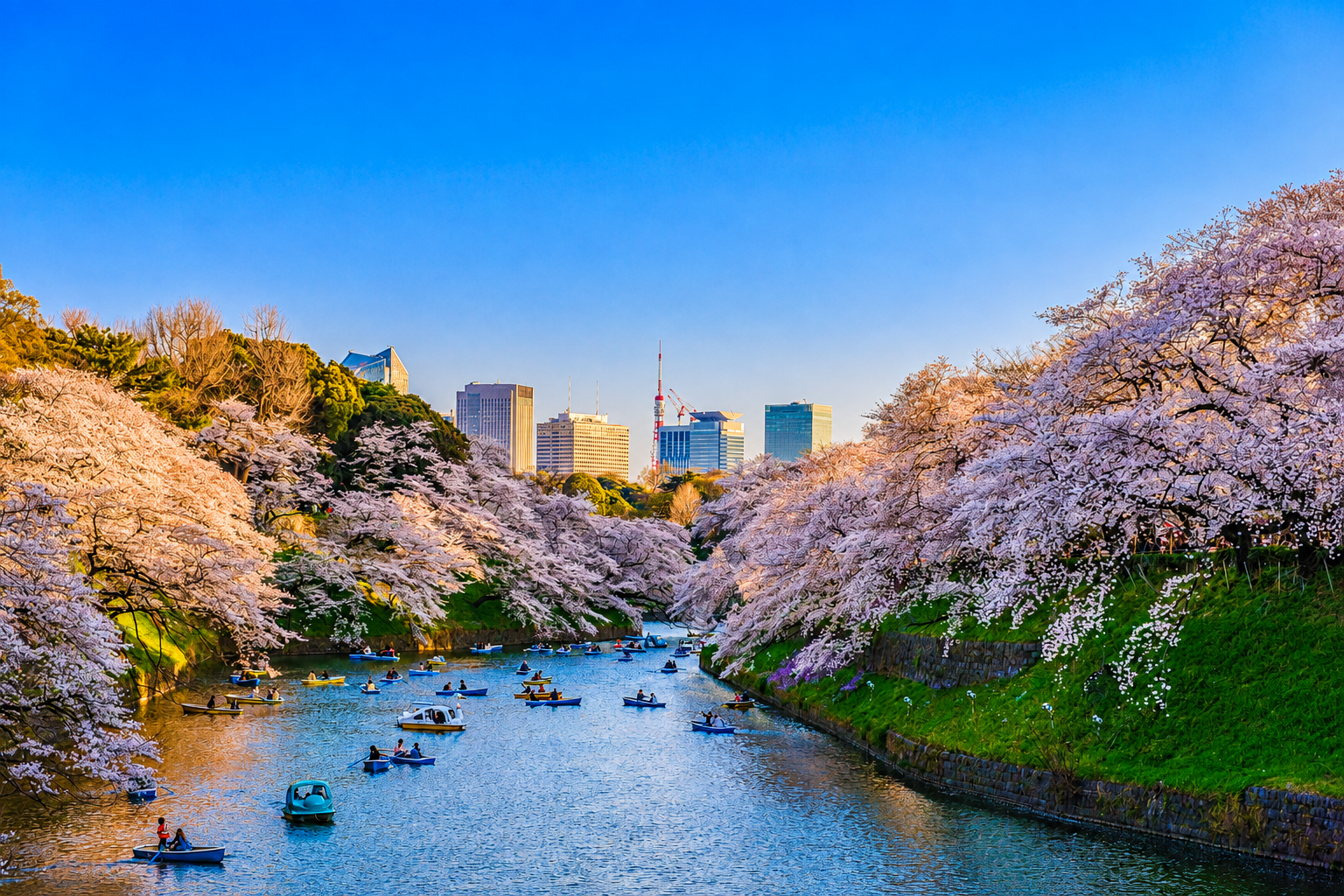 Tokyo Quick City Getaway