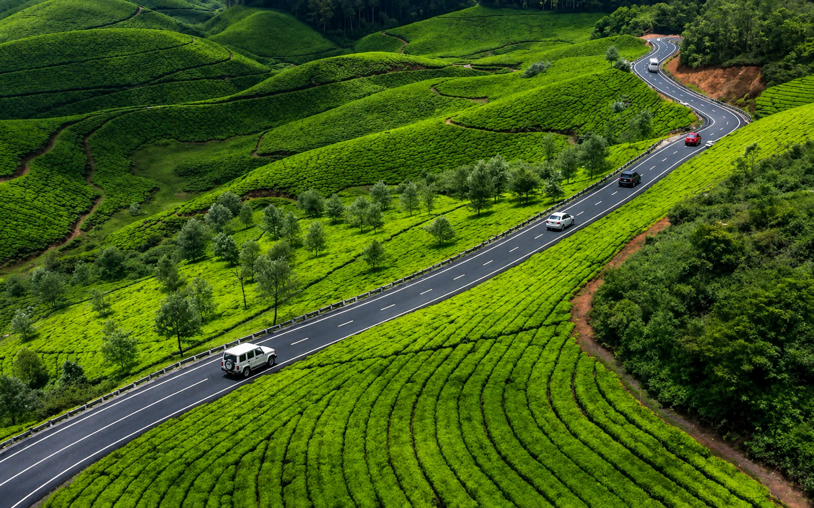 Munnar to Thekkady - A Western Ghats Journey 