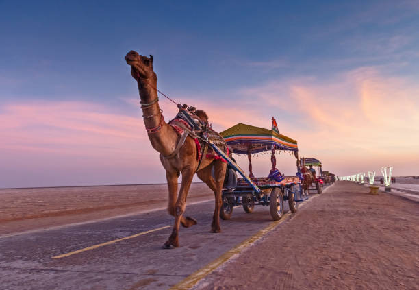 Rann of Kutch Cultural & Heritage Package