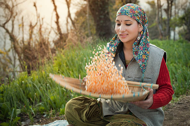   Experience Spitian Food and Culture