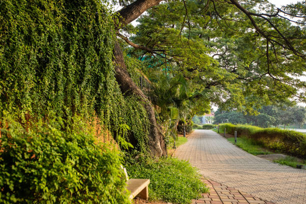 Explore Theosophical Society Gardens