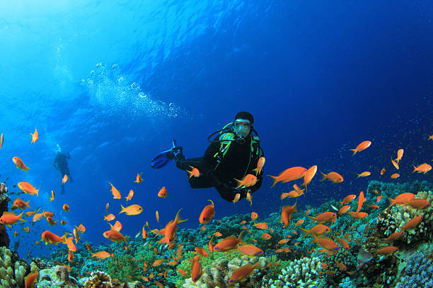 Scuba Dive at Agatti Island