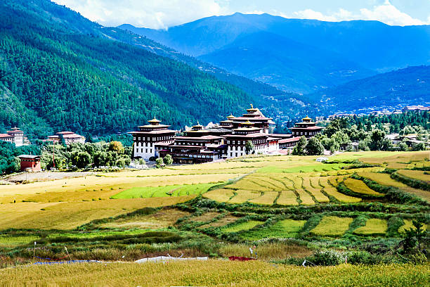 Explore Thimphu’s Cultural Attractions