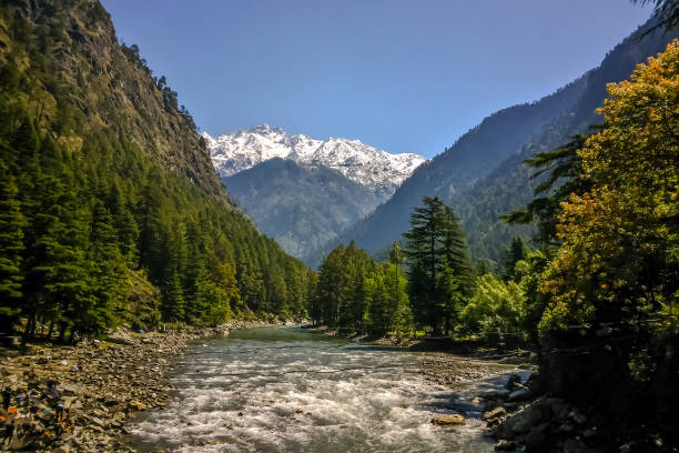 Relax by the Parvati River