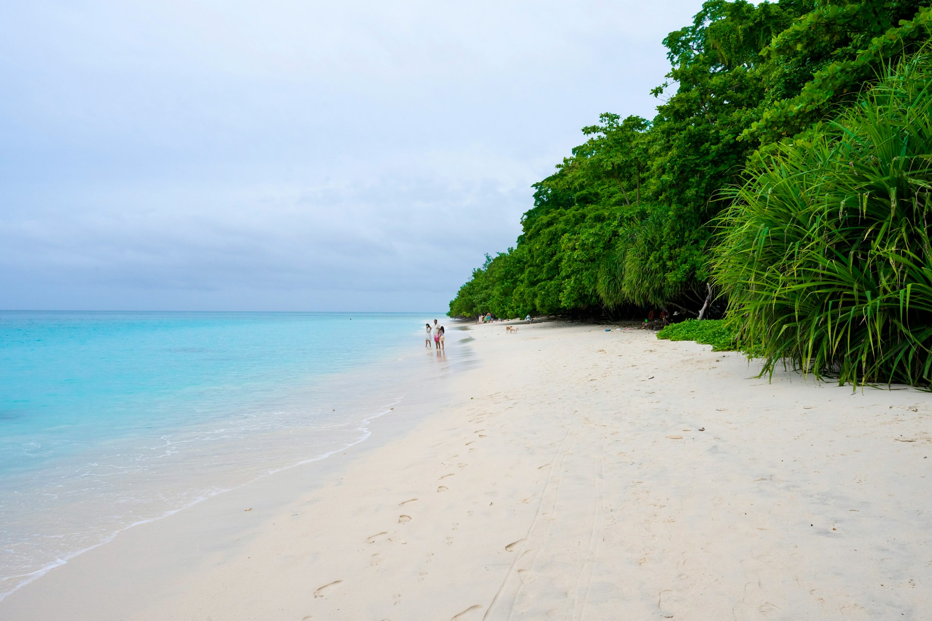  Experience Island Hopping