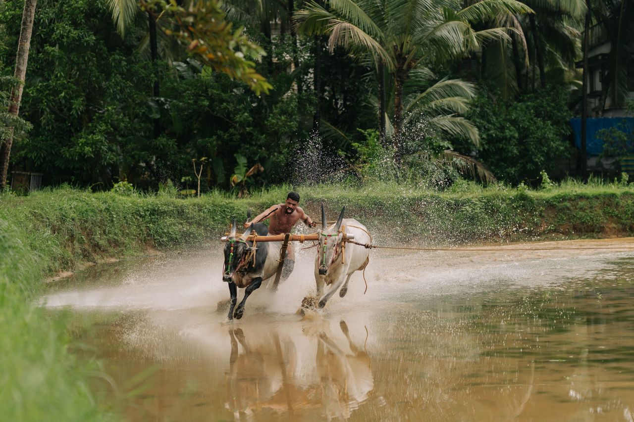 Experience Kerala Village Life