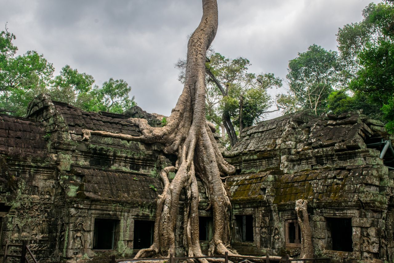 Explore Ta Prohm