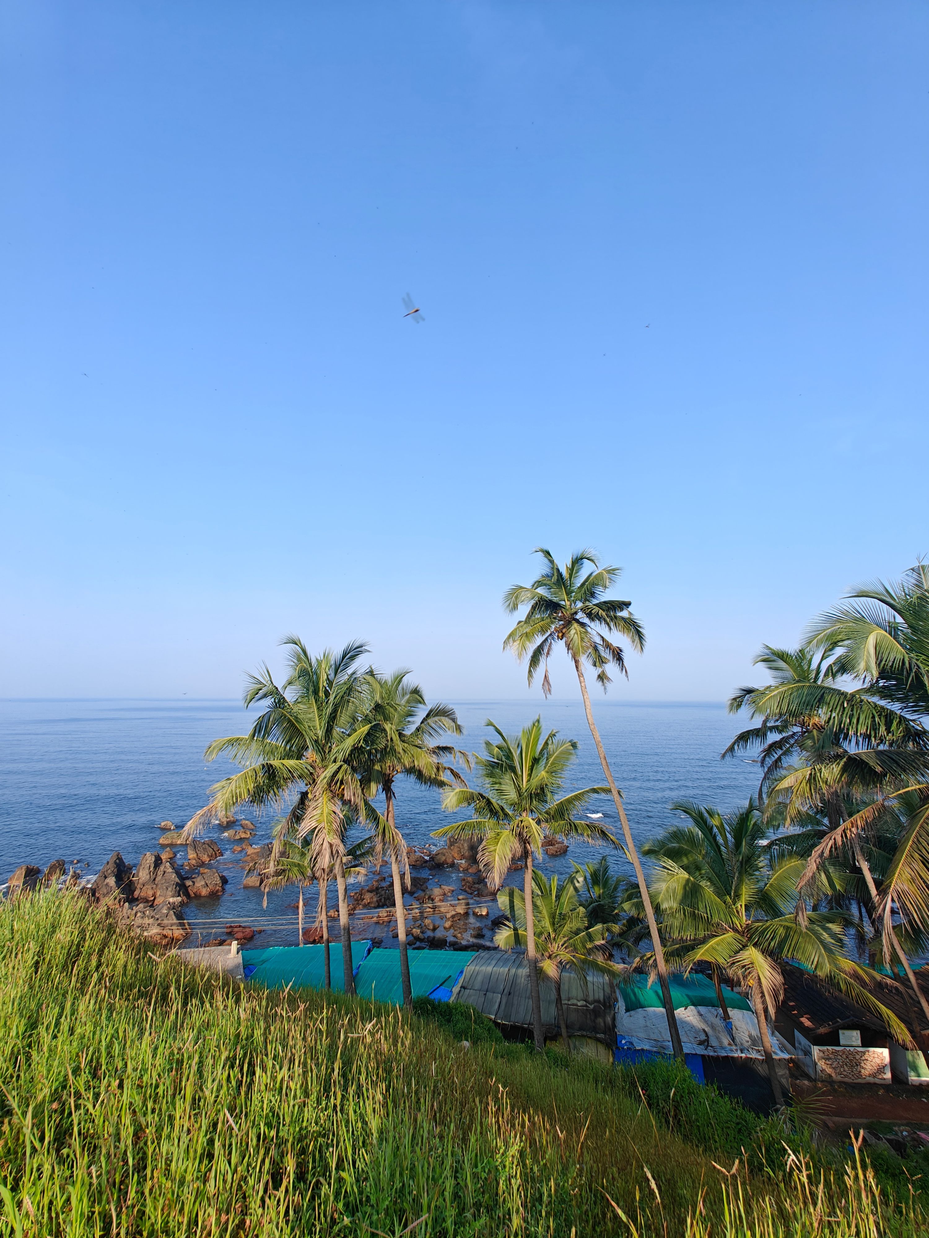 Relax on Goa's Famous Beaches