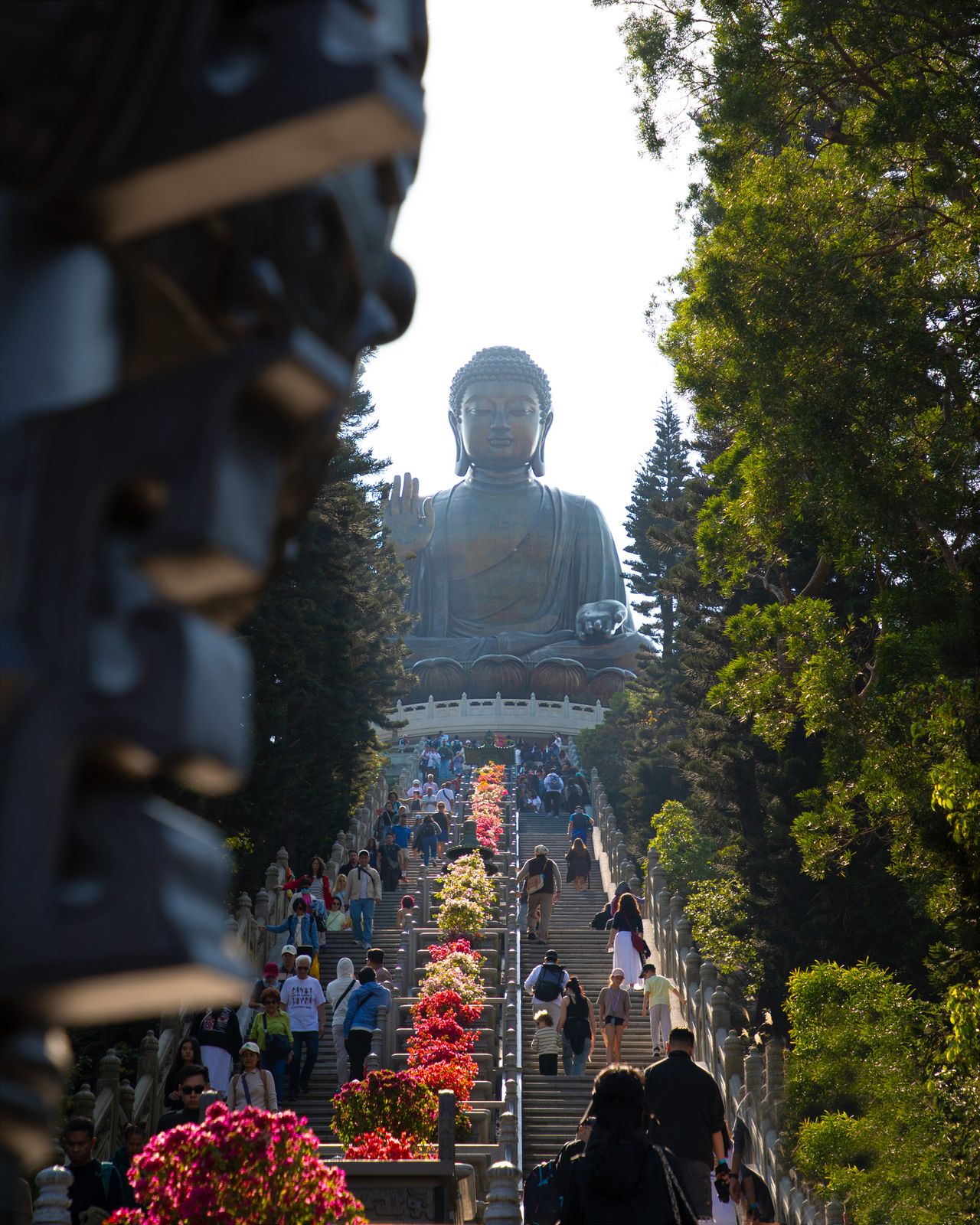 Discover Tian Tan Buddha and Ngong Ping 360
