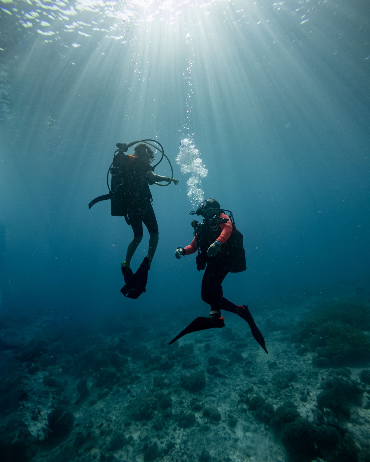 Go Snorkelling and Scuba Diving