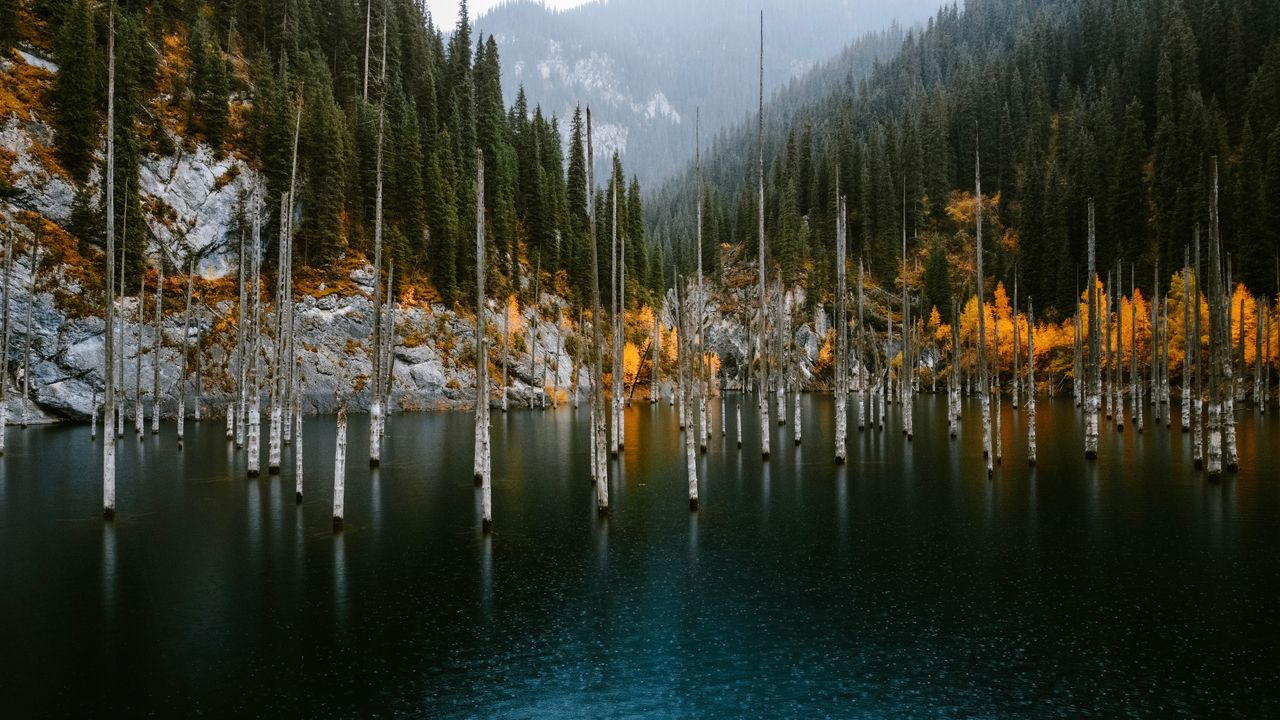 See the Sunken Forest of Kaindy Lake