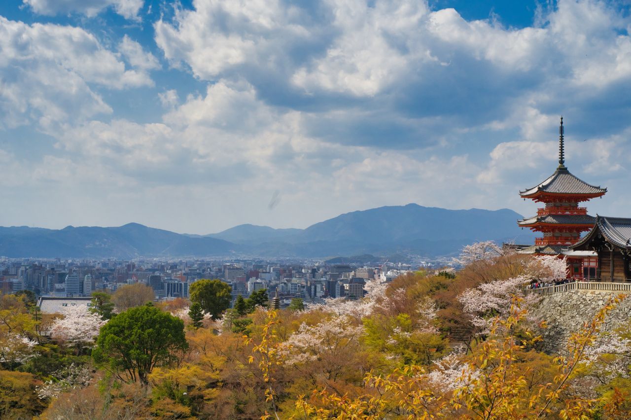 See Cherry Blossoms or Autumn Colors