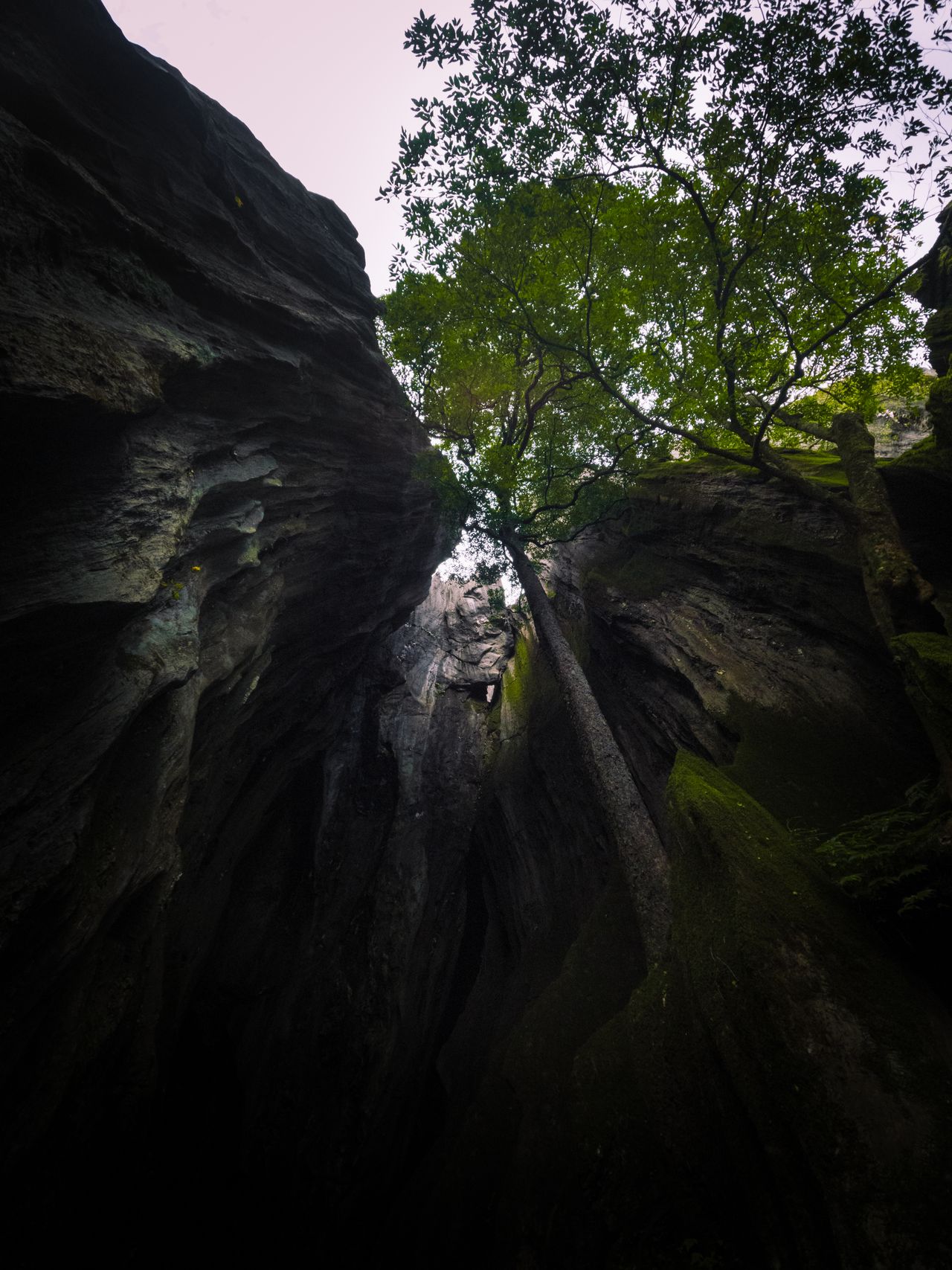Visit Eco Cave Gardens