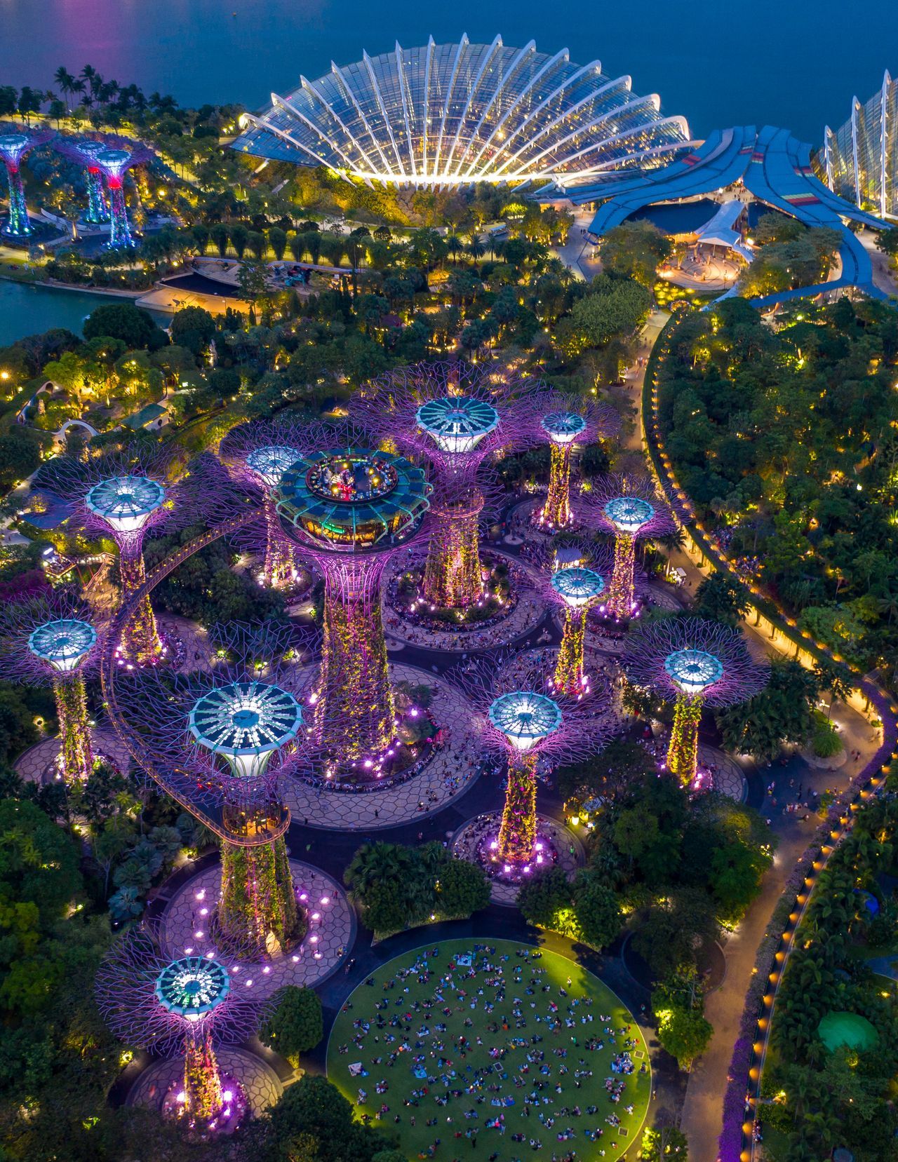 Marvel at Gardens by the Bay