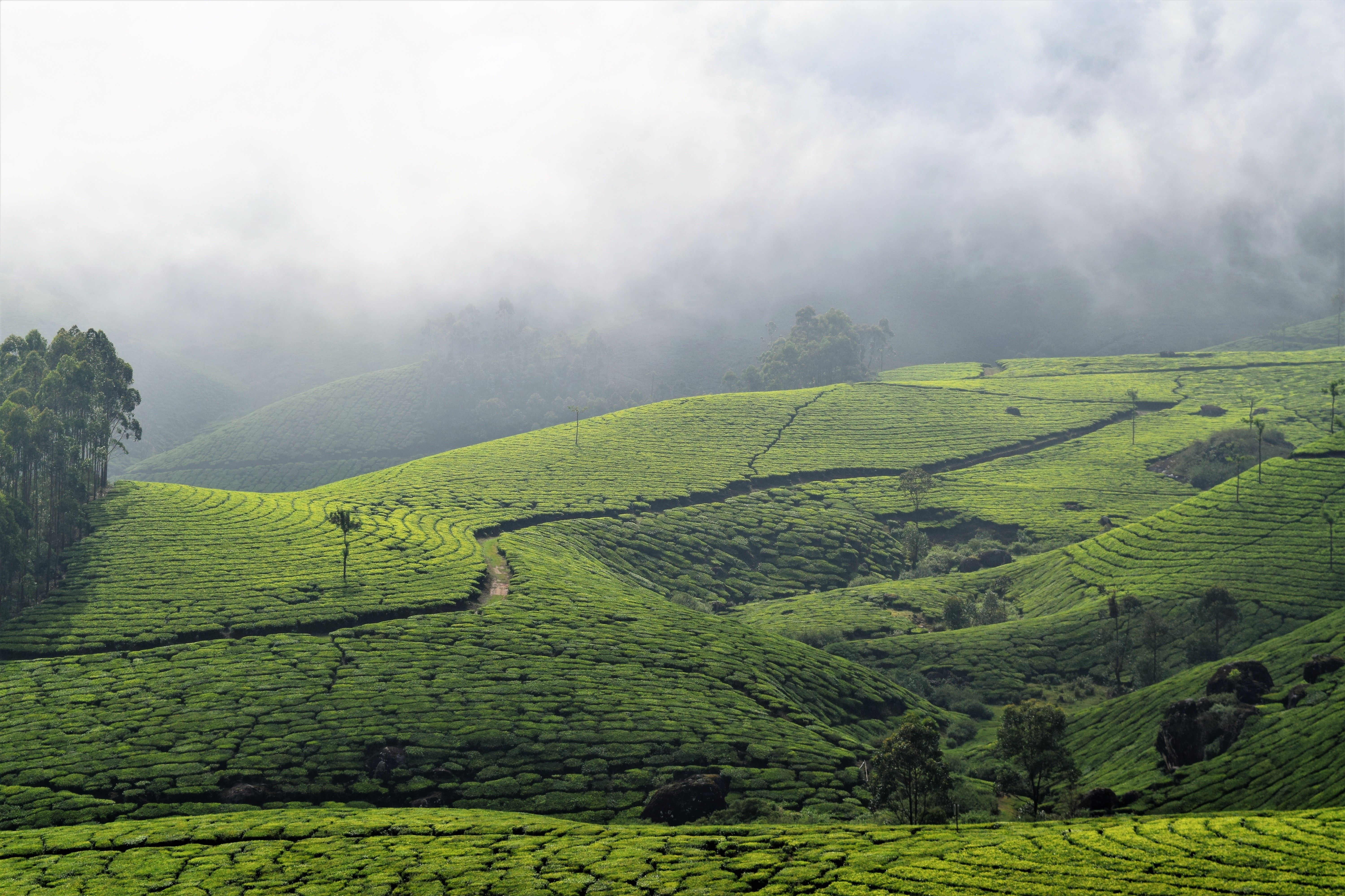 Nature Walks & Trekking