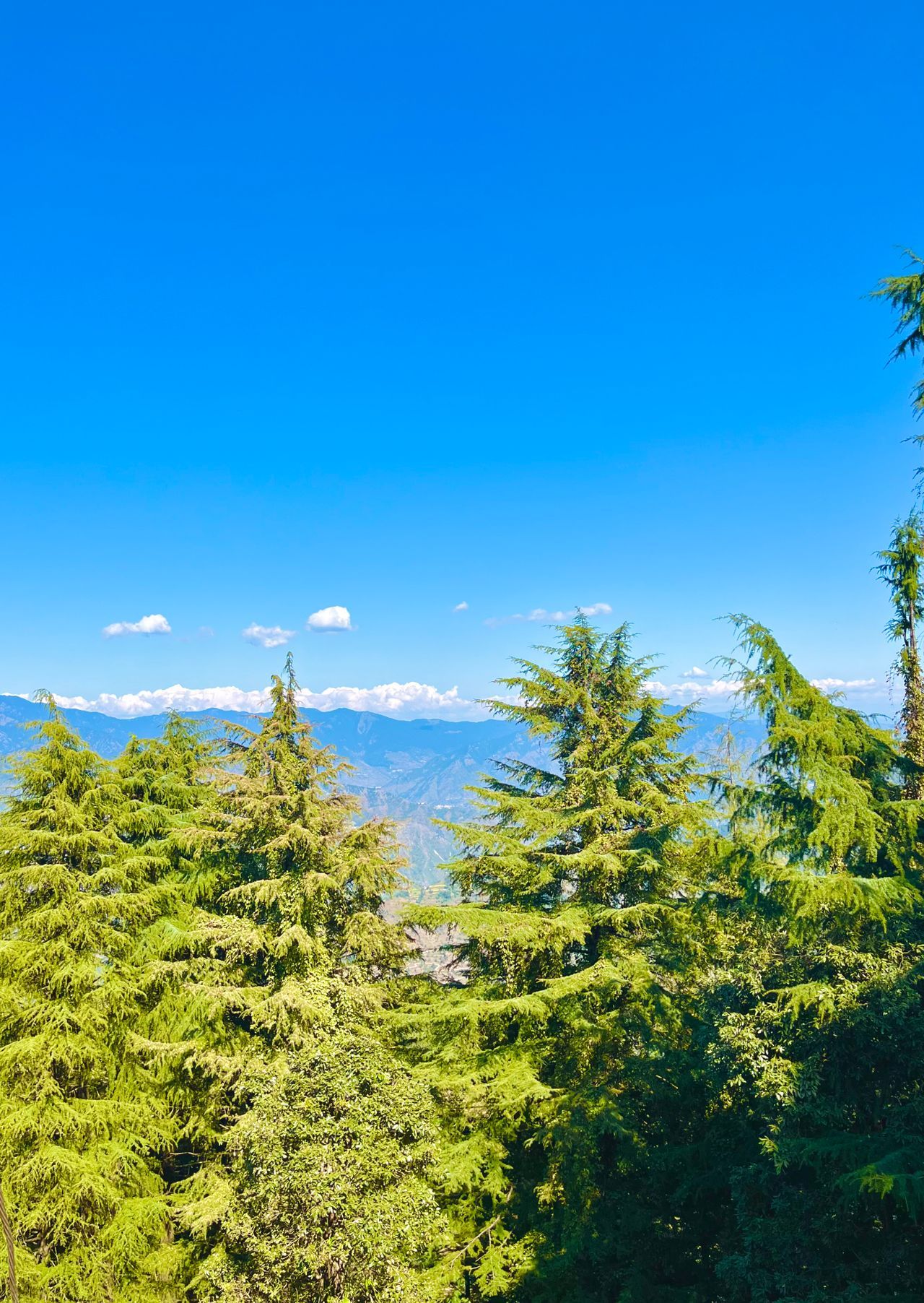 Lal Tibba
