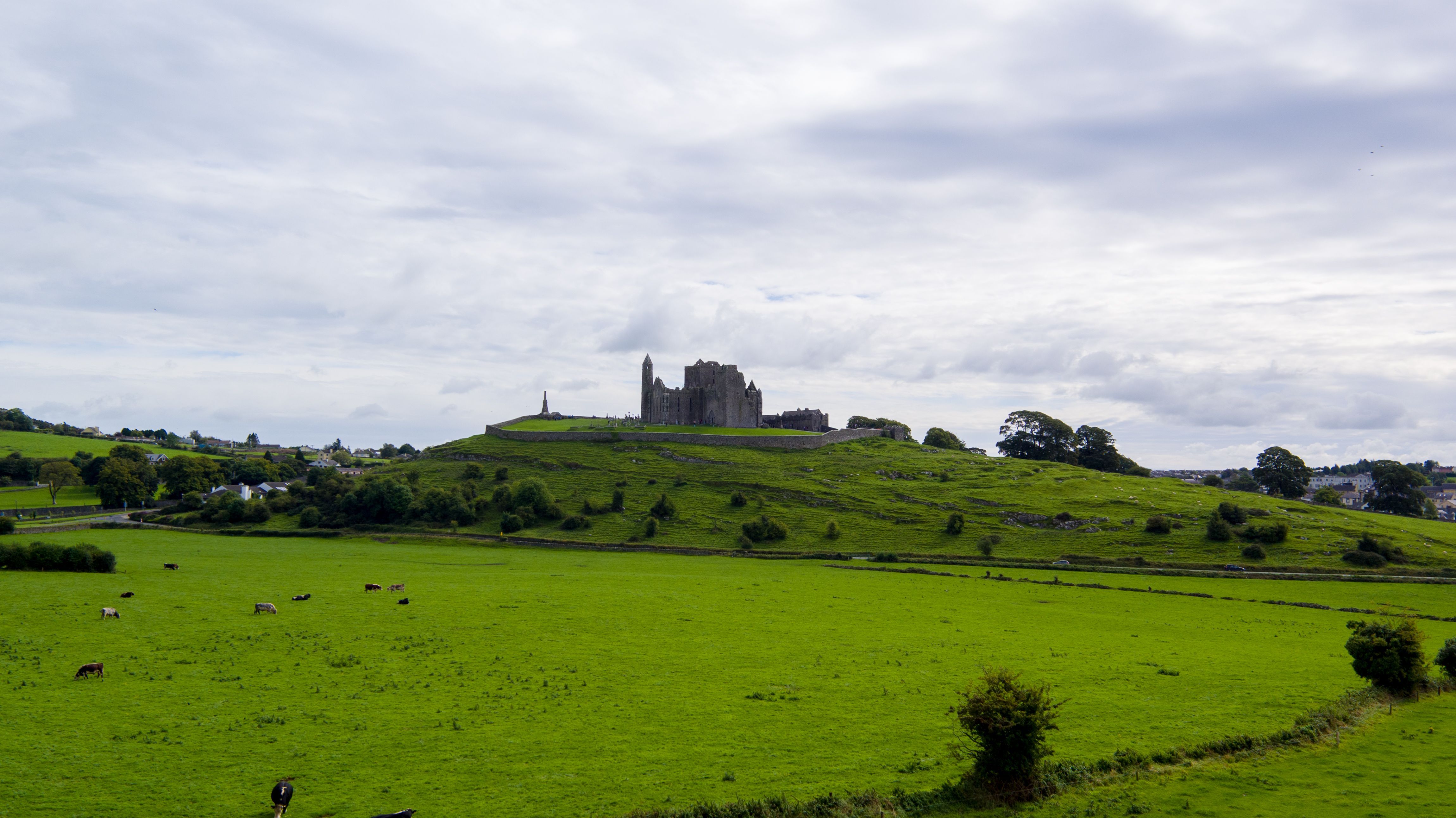 Rolling green Irish countryside meeting dramatic ocean cliffs, Ireland — Orchid Vacation