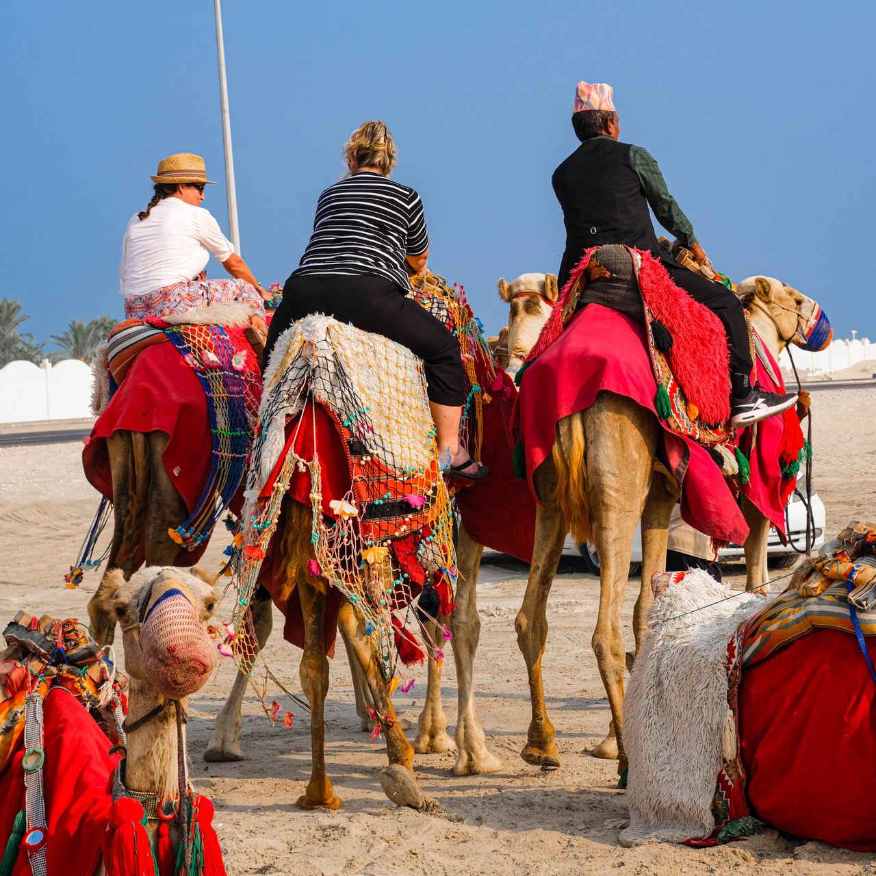 Camel Safari Adventure
