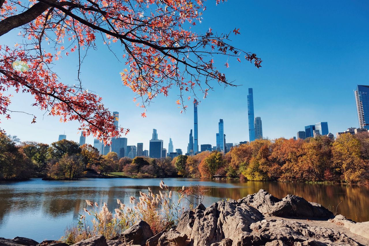 Wander Central Park
