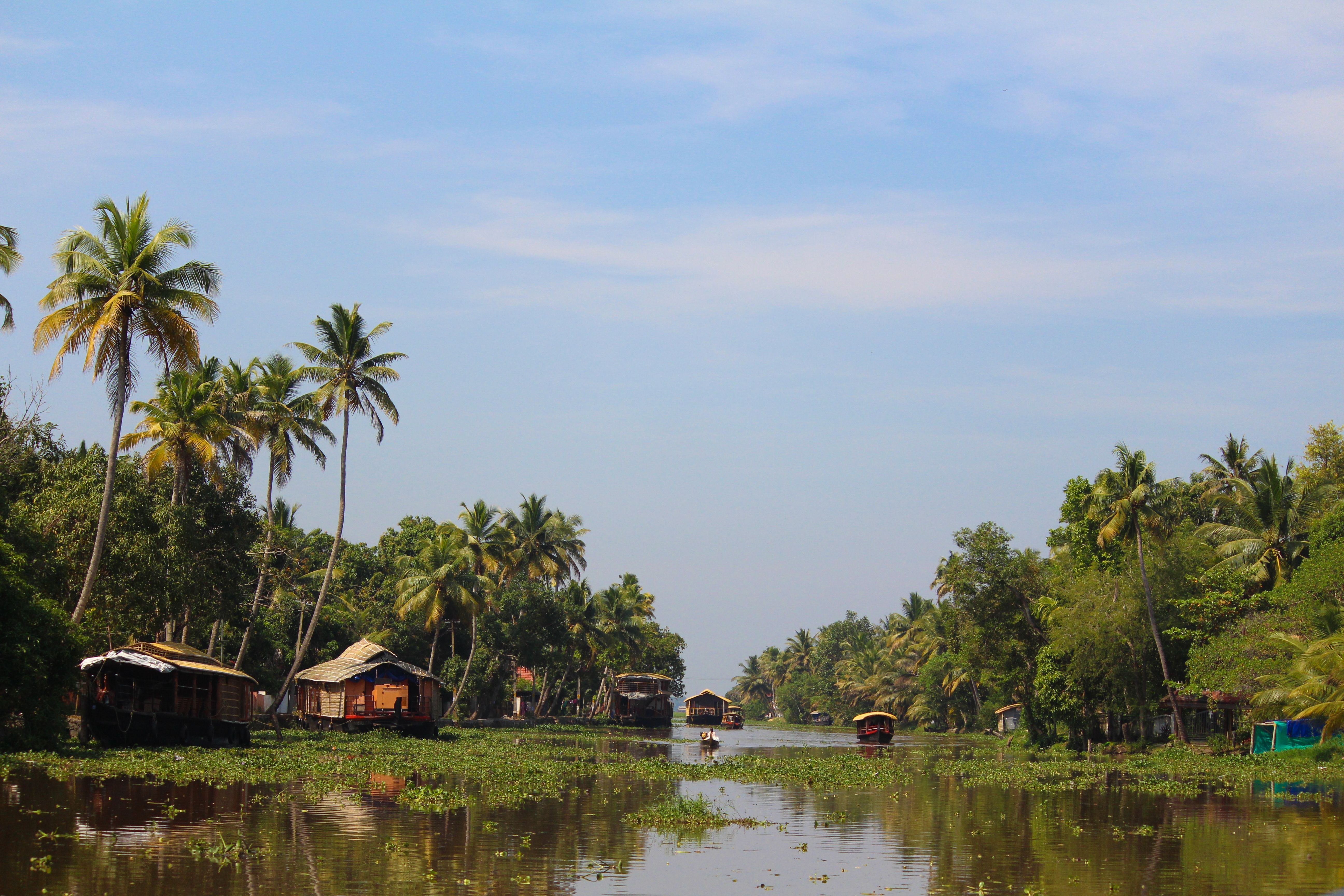Alleppey