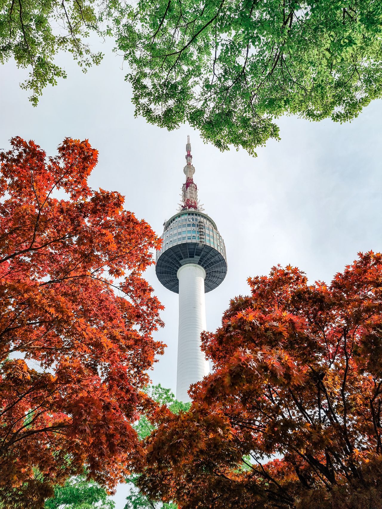 Visit N Seoul Tower