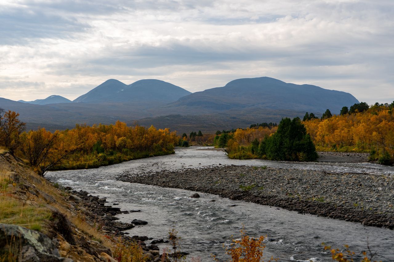Visit Abisko National Park