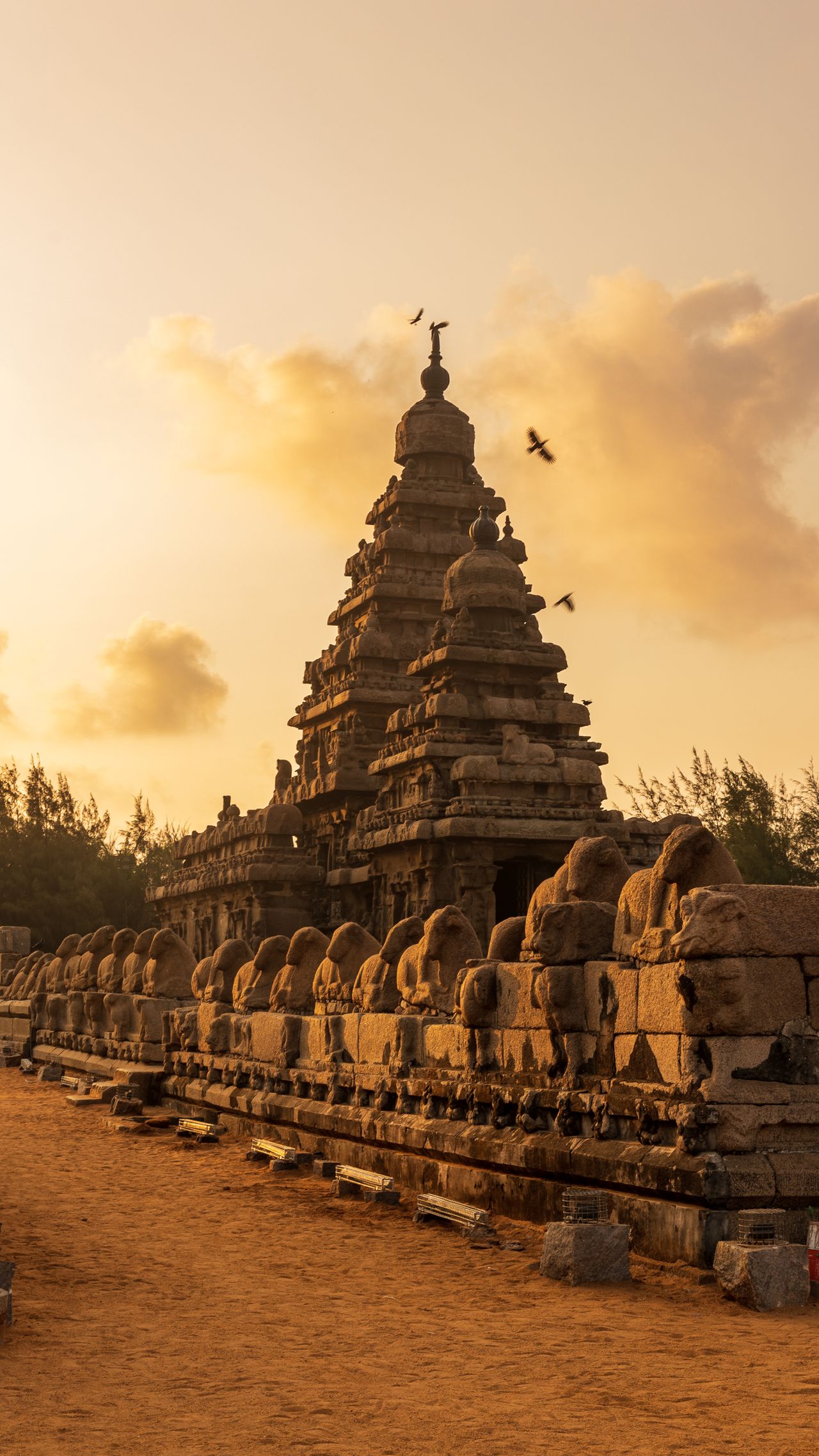 Day Trip to Mahabalipuram