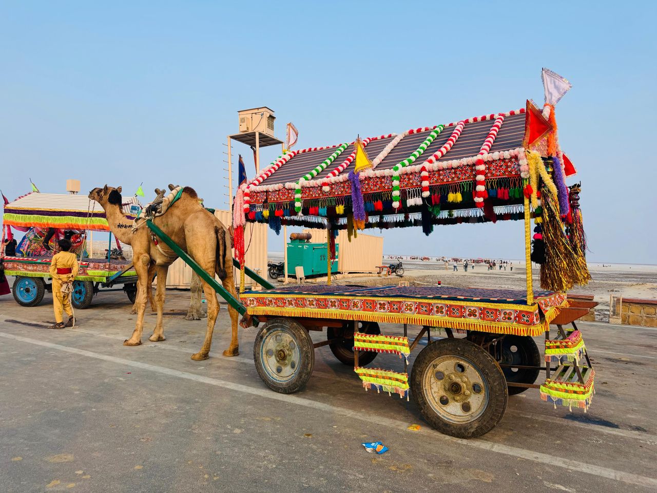   Attend the Rann Utsav Festival