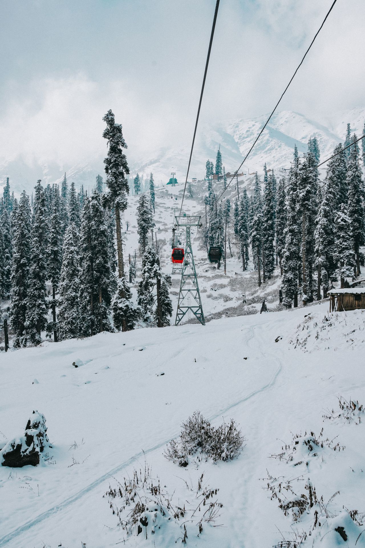 Gondola & Mountain Views