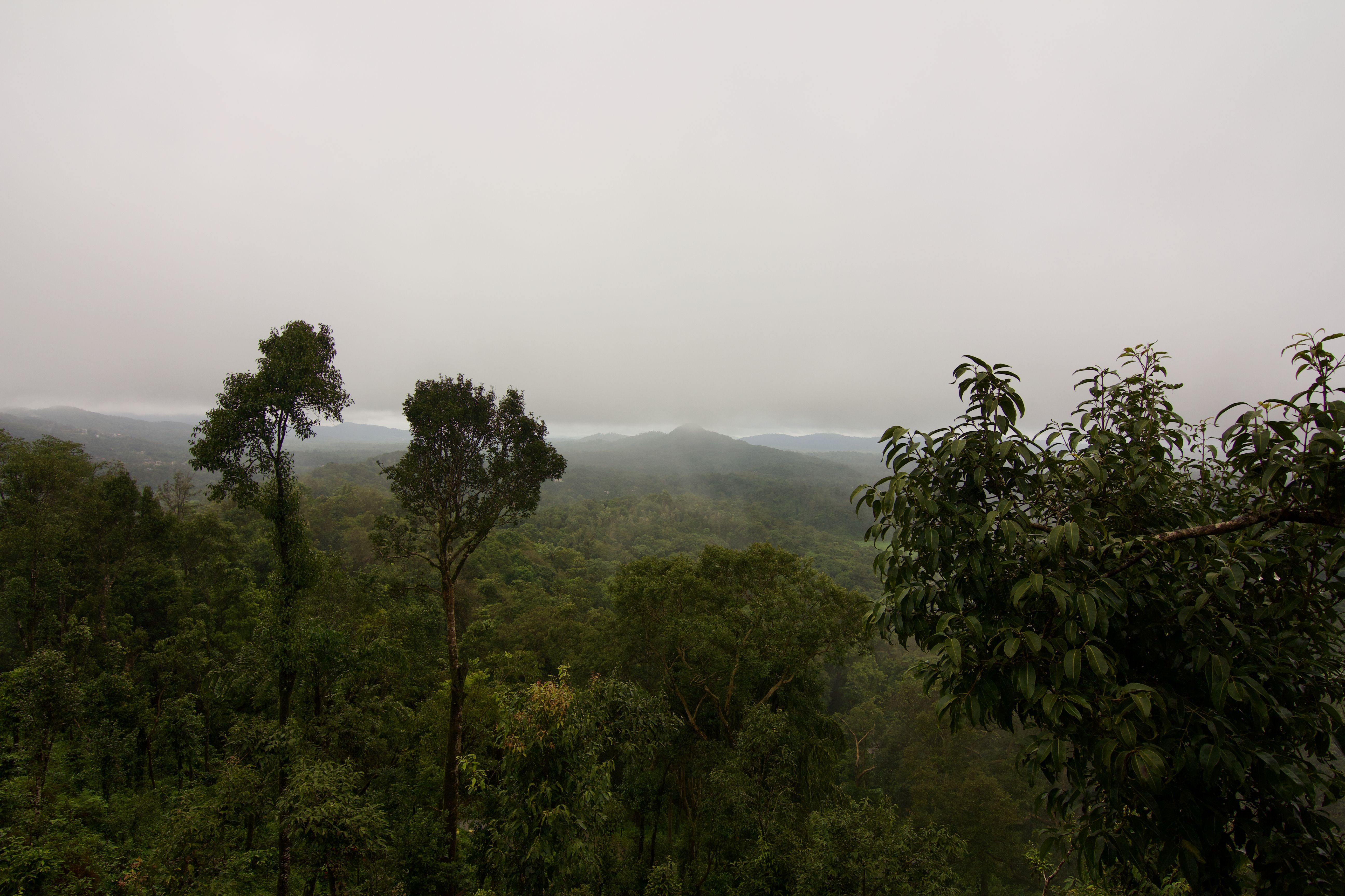 Coorg ( Madikeri )