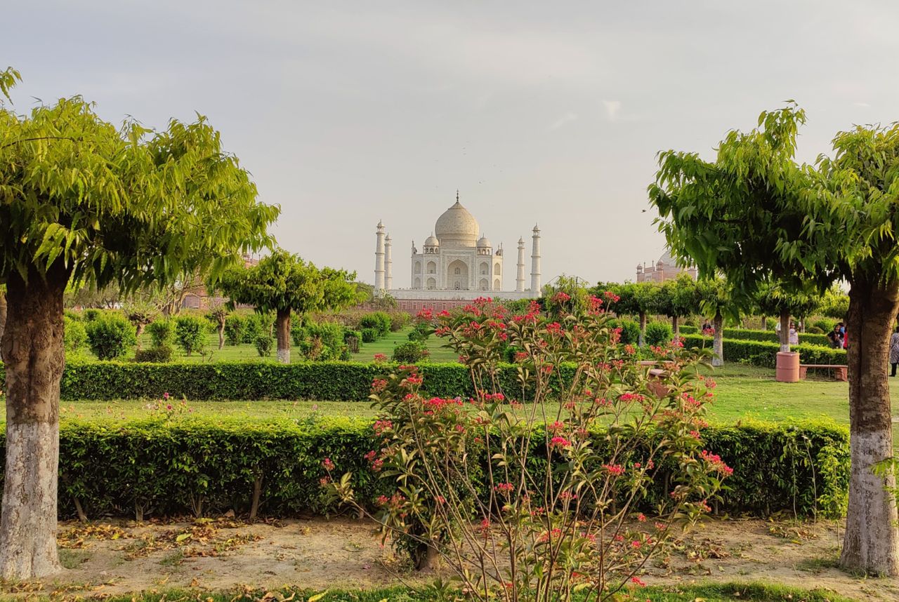 Enjoy a Taj Mahal View from Mehtab Bagh