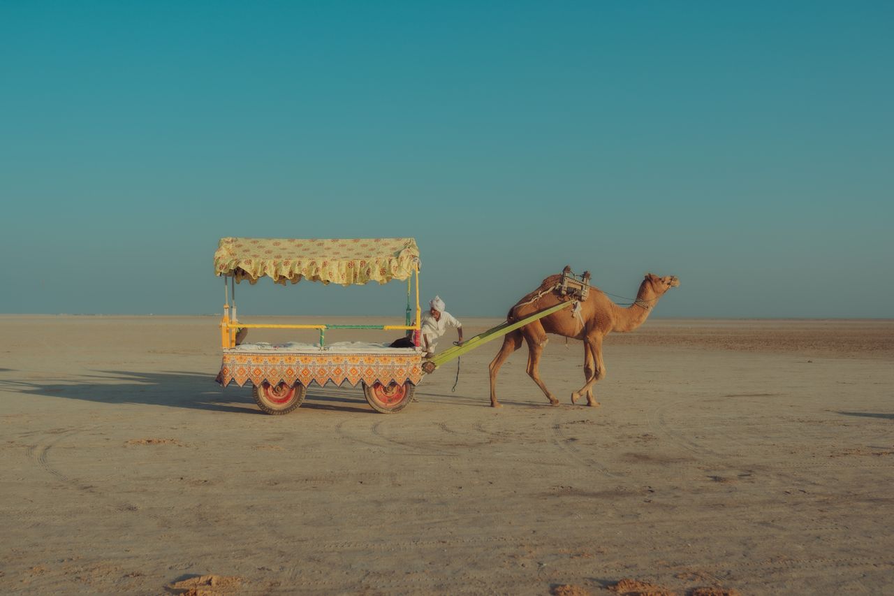Rann of Kutch Photography Special