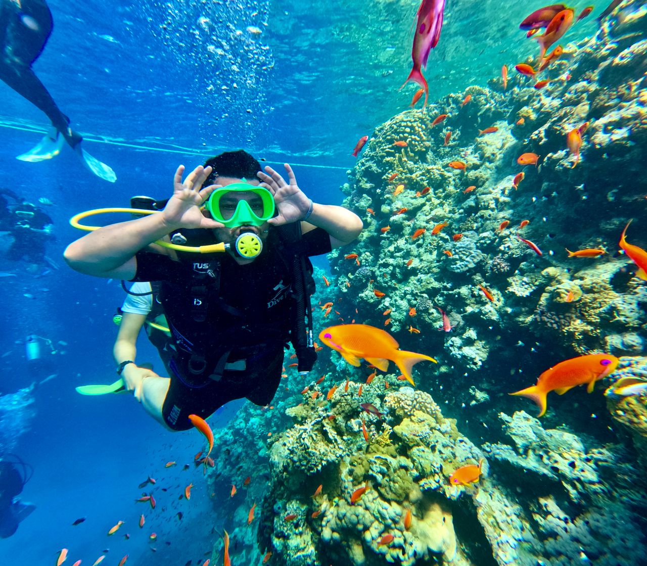 Enjoy Snorkelling and Diving