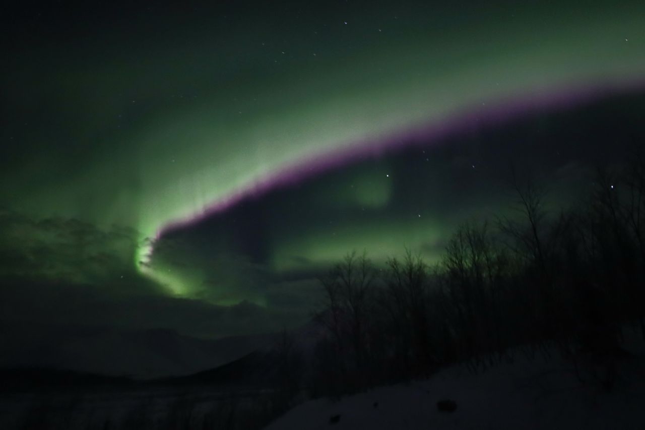 Witness the Northern Lights