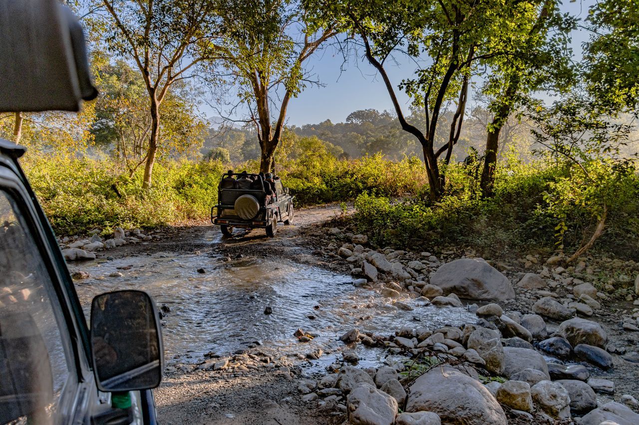 Jim Corbett Safari