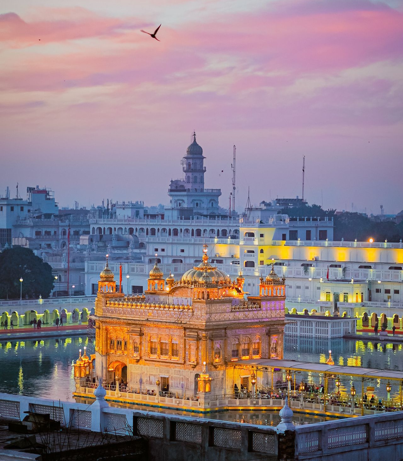 Visit the Golden Temple