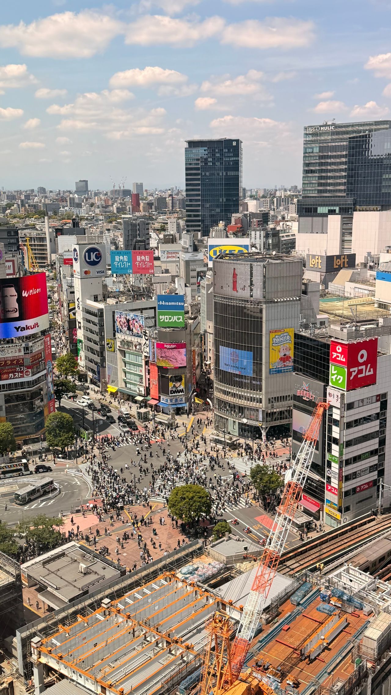 Cross the Famous Shibuya Crossing