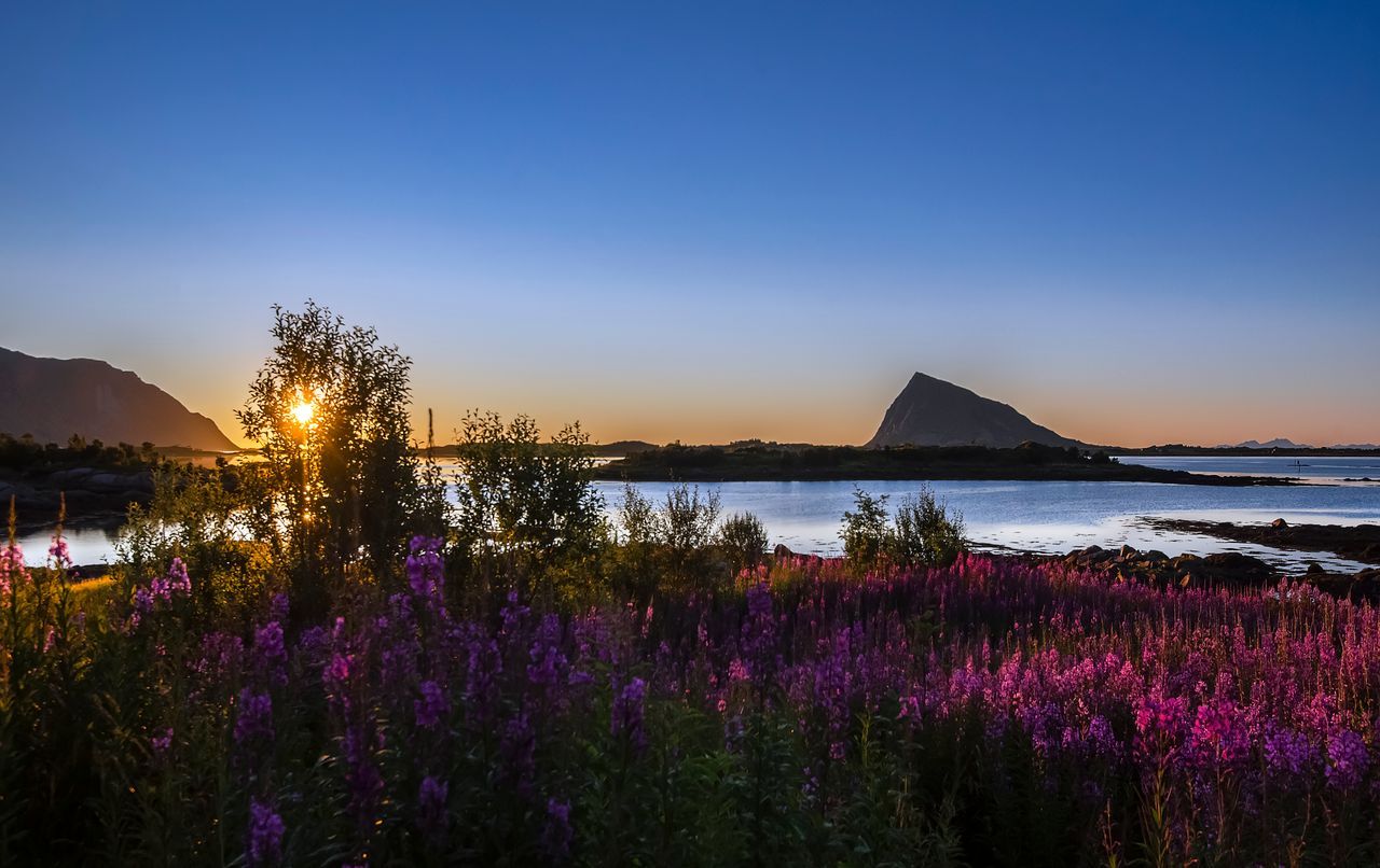 Stand Under the Midnight Sun