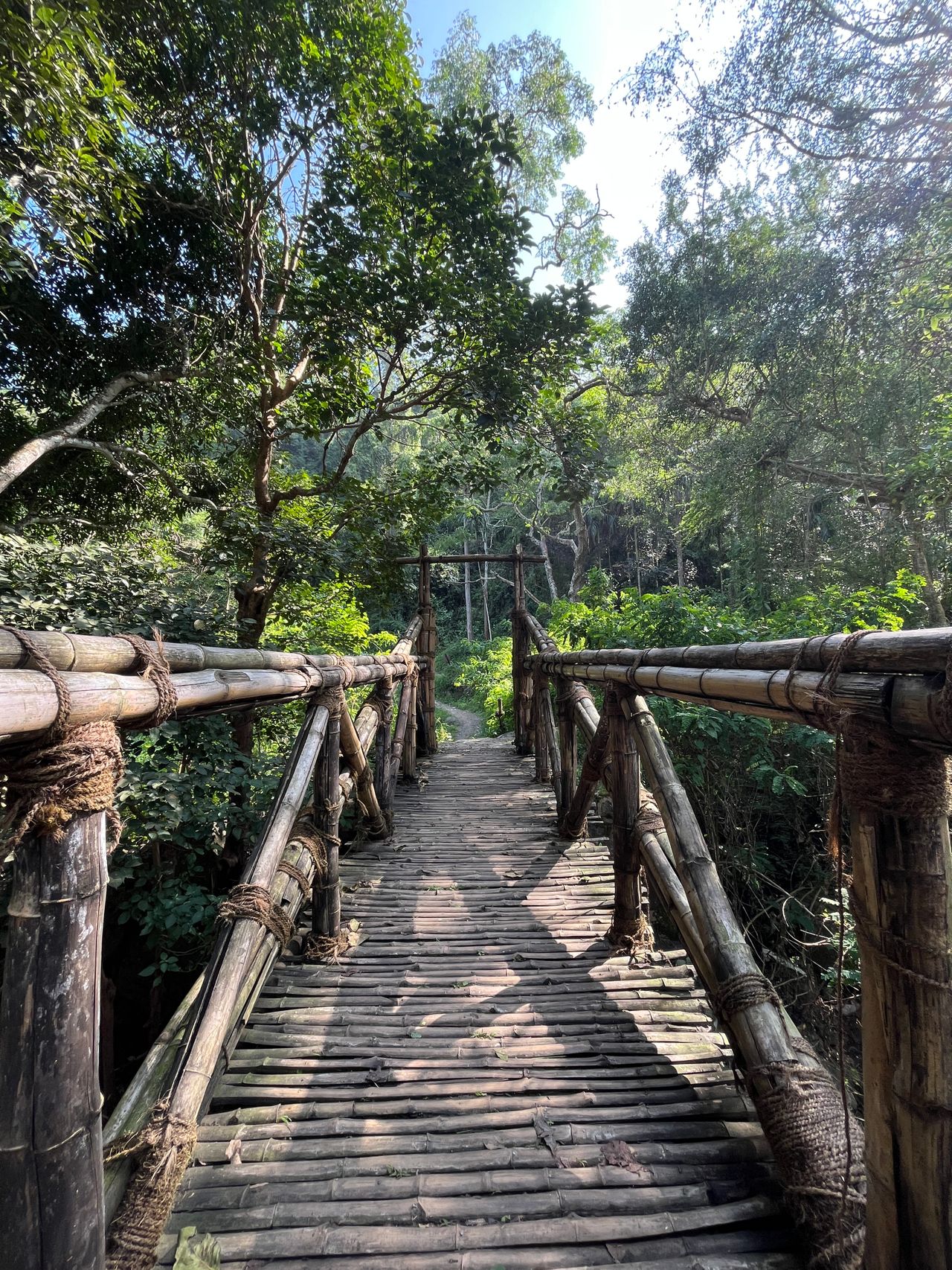 Walk Along Coaker's Walk