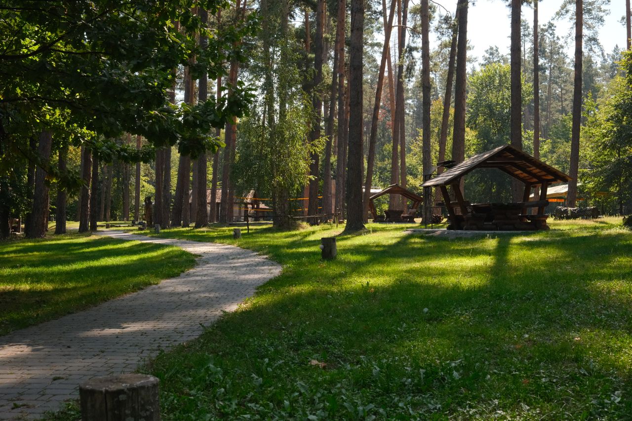 Explore Belovezhskaya Pushcha National Park