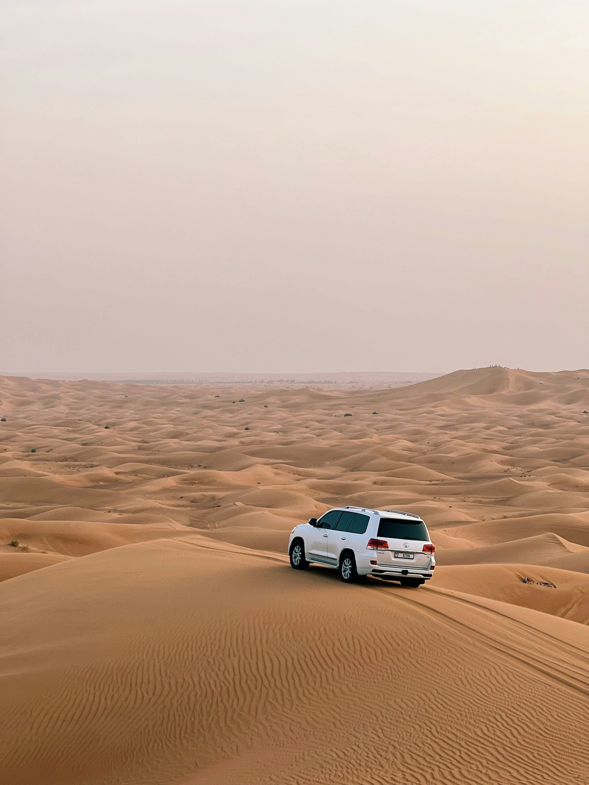 Experience a Desert Safari