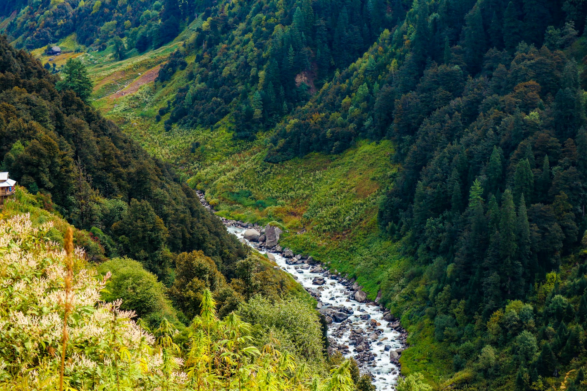 Trek to Malana