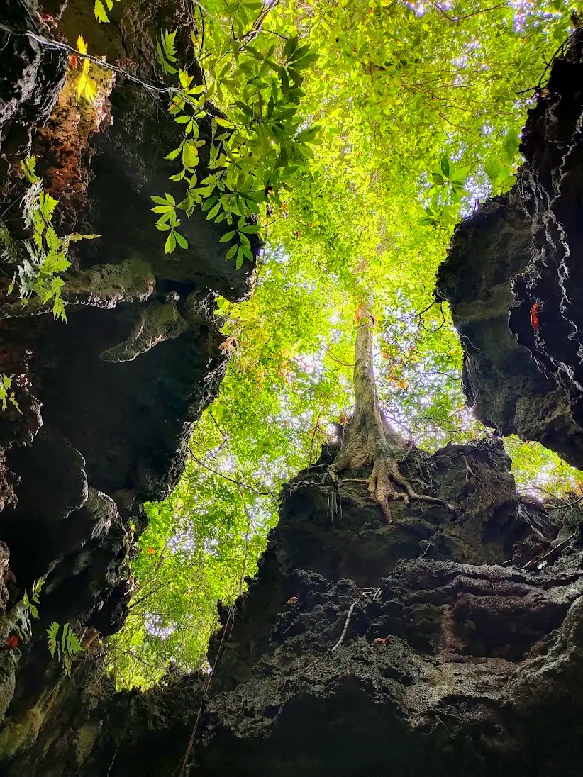   Explore Baratang’s Limestone Caves